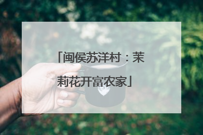 闽侯苏洋村：茉莉花开富农家