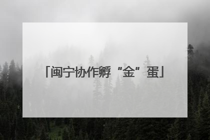 闽宁协作孵“金”蛋