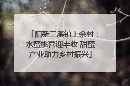 阳新三溪镇上余村：水蜜桃喜迎丰收 甜蜜产业助力乡村振兴