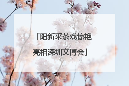 阳新采茶戏惊艳亮相深圳文博会