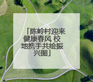 陈岭村迎来健康春风 校地携手共绘振兴图