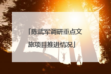 陈武军调研重点文旅项目推进情况