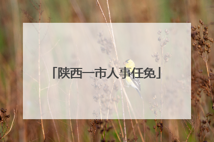 陕西一市人事任免