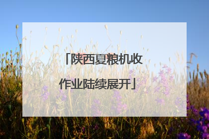 陕西夏粮机收作业陆续展开