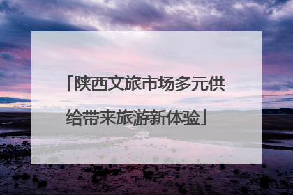 陕西文旅市场多元供给带来旅游新体验