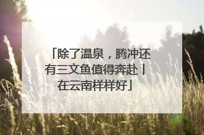 除了温泉，腾冲还有三文鱼值得奔赴丨在云南样样好