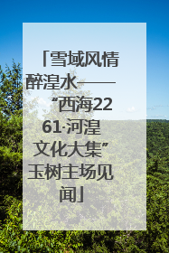 雪域风情醉湟水——“西海2261·河湟文化大集”玉树主场见闻