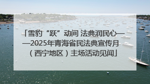 雪豹“跃”动间 法典润民心——2025年青海省民法典宣传月（西宁地区）主场活动见闻