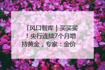 风口智库｜买买买！央行连续7个月增持黄金，专家：金价或仍易涨难跌