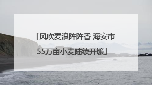 风吹麦浪阵阵香 海安市55万亩小麦陆续开镰