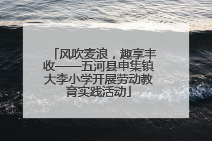 风吹麦浪，趣享丰收——五河县申集镇大李小学开展劳动教育实践活动