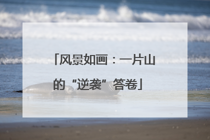风景如画：一片山的“逆袭”答卷