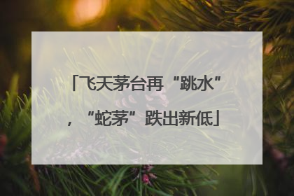 飞天茅台再“跳水”，“蛇茅”跌出新低