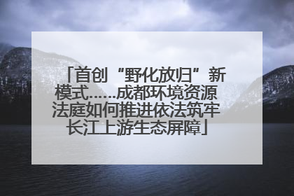 首创“野化放归”新模式……成都环境资源法庭如何推进依法筑牢长江上游生态屏障