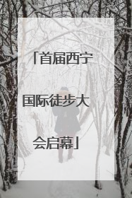 首届西宁国际徒步大会启幕
