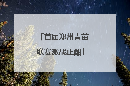 首届郑州青苗联赛激战正酣