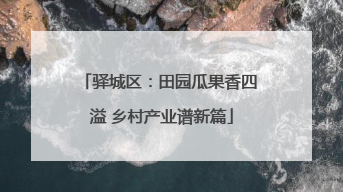 驿城区：田园瓜果香四溢 乡村产业谱新篇