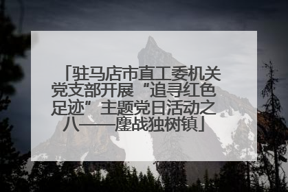 驻马店市直工委机关党支部开展“追寻红色足迹”主题党日活动之八——鏖战独树镇