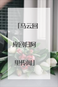 马云回应回归阿里传闻