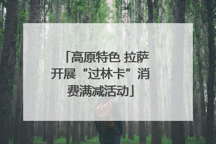 高原特色 拉萨开展“过林卡”消费满减活动