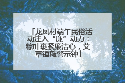 龙凤村端午民俗活动注入“廉”动力：粽叶裹紧廉洁心，艾草锤敲警示钟