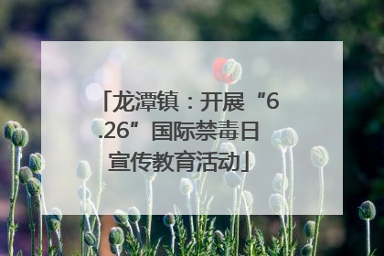 龙潭镇：开展“6.26”国际禁毒日宣传教育活动