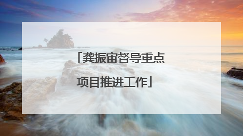 龚振宙督导重点项目推进工作