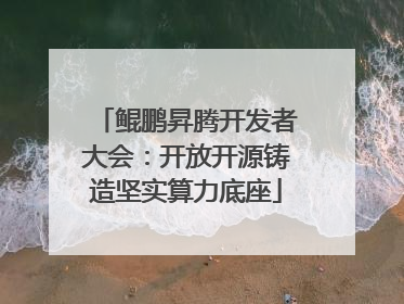 鲲鹏昇腾开发者大会：开放开源铸造坚实算力底座