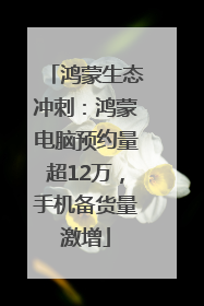 鸿蒙生态冲刺：鸿蒙电脑预约量超12万，手机备货量激增