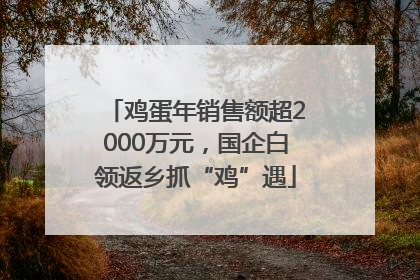 鸡蛋年销售额超2000万元，国企白领返乡抓“鸡”遇