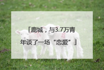 鹿城，与3.7万青年谈了一场“恋爱”
