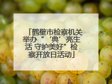 鹤壁市检察机关举办“‘典’亮生活 守护美好”检察开放日活动