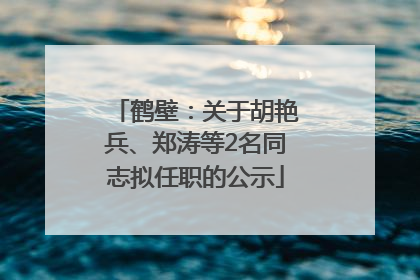 鹤壁：关于胡艳兵、郑涛等2名同志拟任职的公示
