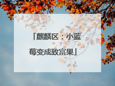 麒麟区：小蓝莓变成致富果