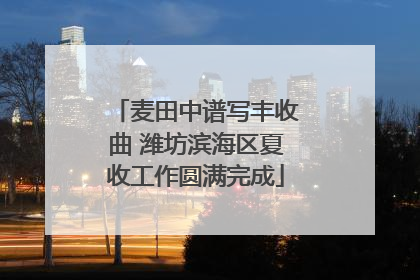 麦田中谱写丰收曲 潍坊滨海区夏收工作圆满完成