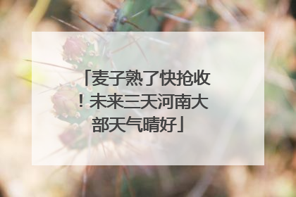 麦子熟了快抢收！未来三天河南大部天气晴好