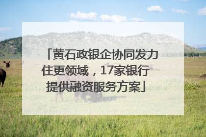 黄石政银企协同发力住更领域，17家银行提供融资服务方案