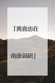 黄喜忠在南康调研