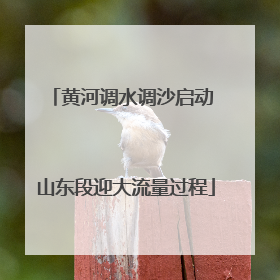 黄河调水调沙启动 山东段迎大流量过程