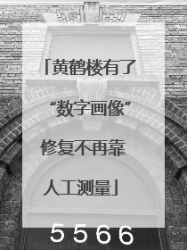 黄鹤楼有了“数字画像” 修复不再靠人工测量