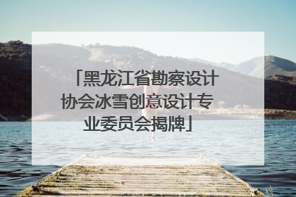 黑龙江省勘察设计协会冰雪创意设计专业委员会揭牌