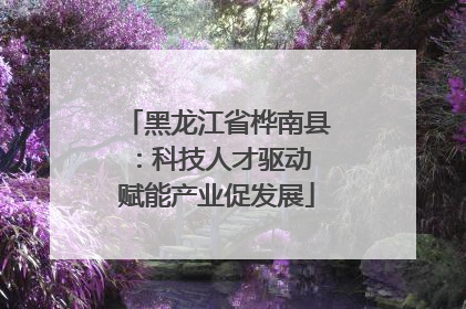黑龙江省桦南县：科技人才驱动 赋能产业促发展