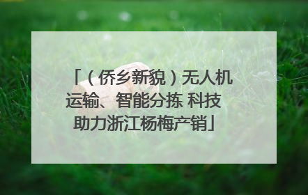（侨乡新貌）无人机运输、智能分拣 科技助力浙江杨梅产销