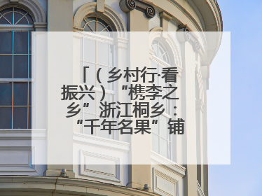 （乡村行·看振兴）“槜李之乡”浙江桐乡：“千年名果”铺就乡村共富路