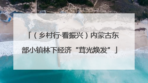 （乡村行·看振兴）内蒙古东部小镇林下经济“茸光焕发”