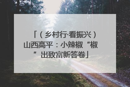 （乡村行·看振兴）山西高平：小辣椒“椒”出致富新答卷