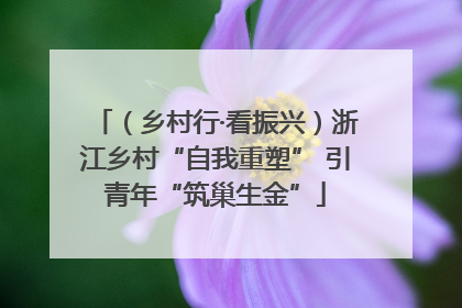 （乡村行·看振兴）浙江乡村“自我重塑” 引青年“筑巢生金”