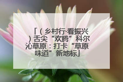 （乡村行·看振兴）舌尖“欢腾”科尔沁草原：打卡“草原味道”新地标