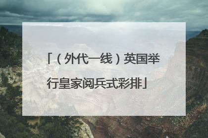 （外代一线）英国举行皇家阅兵式彩排