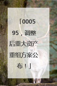 000595，调整后重大资产重组方案公布！